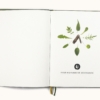 »Wildes Fast Food · E-Book« Dein Einstieg in die Welt der essbare Wildkräuter. Essbare Wildpflanzen bestimmen, sammeln und verarbeiten.
